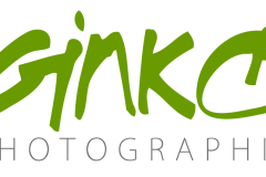 Ginko Photo