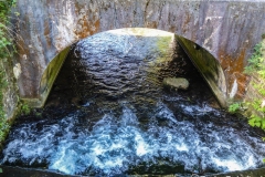 Renage la grande fabrique et sa chapelle Le 30 avril 2017 (30)